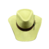 Romelia Fedora