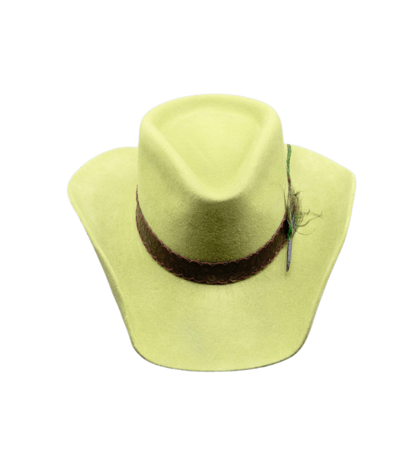 Romelia Fedora