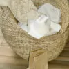 BIANCA 8 BIANCA