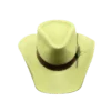 Romelia Fedora