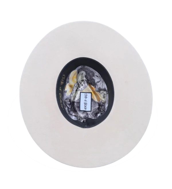 new-6 PENELOPE